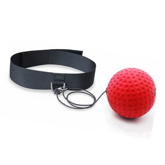 Boxing Reflex Ball